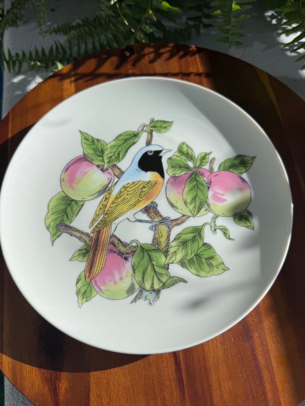 Vintage Shafford Redstart Bird Plate from "Audubon" Collection